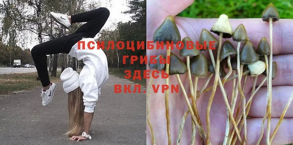 spice Белокуриха